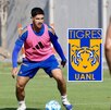 El mediocampista sudamericano se ha afianzado en la defensa central de los felinos desde que Guido Pizarro es el director técnico.