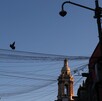El Sismológico Nacional reporta todos los sismos ocurridos en México.