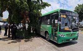 iño de 4 años viaja sin compañía en transporte público; policía lo resguarda