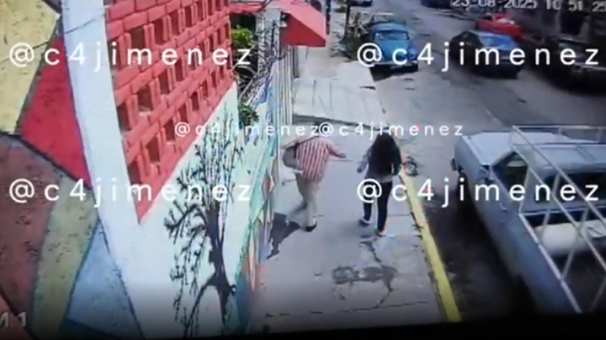La vecina de don Marco, al oír el ataque, salió de su casa para ahuyentar a los perros.