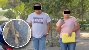 La Fiscalía de Puebla inició una carpeta de investigación por el delito de maltrato animal dado el caso registrado contra el perrito Tiger en Tehuacán.