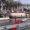 Alicia resguardó a la menor tras explosión en Iztapalapa; está en terapia intensiva.