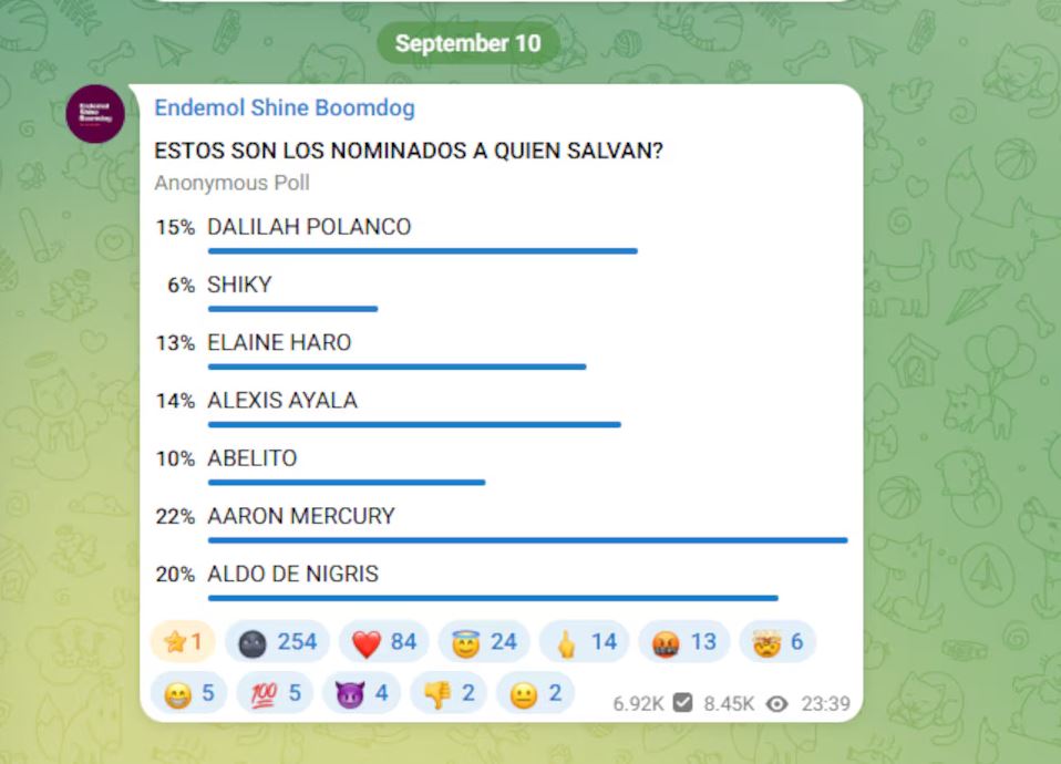 Así van las votaciones hasta el momento en Telegram