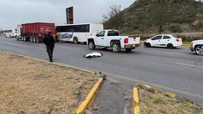 La conductora involucrada en el accidente, una joven que circulaba de norte a sur, fue detenida y se encuentra bajo custodia en el Hospital Muguerza.