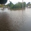 Río Lerma Jalisco Río Lerma Jalisco