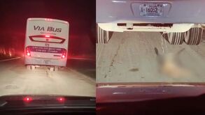 El hecho ocurrió en la colonia Alianza Rea