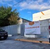 Algunos animales, según el comunicado, evidenciaban falta de atención veterinaria