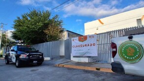 Algunos animales, según el comunicado, evidenciaban falta de atención veterinaria