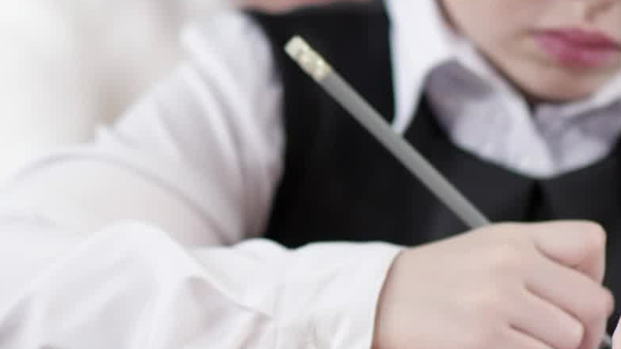 En México, según datos del Centro de Atención al Talento, más de un millón de niños poseen un coeficiente intelectual fuera de lo común.