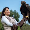 una mujer cuidadora de un águila real mexicana
