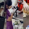 Centro de Bienestar Animal Santa Catarina, Nuevo León
