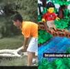 Caída de Edgar recreada con legos