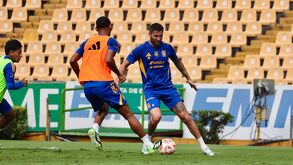 André ha tenido poca actividad en el presente campeonato con Tigres, en donde incluso de 7 juegos, en ninguno comenzó de titular.