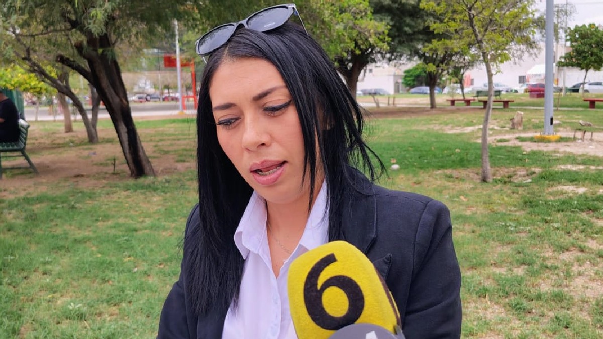 Argentina Carrillo, fundadora de la organización, informó que la querella fue elaborada por un equipo multidisciplinario y contempla varios delitos