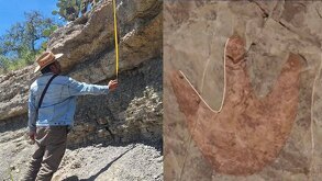 Santa Ana Teloxtoc ya ha tenido hallazgos de animales petrificados dado que se encuentra en un territorio donde hace millones de años se encontraba un mar.