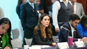 La senadora, Cecilia Guadiana, destacó la Estrategia Nacional de Seguridad de Sheinbaum y Harfuch.