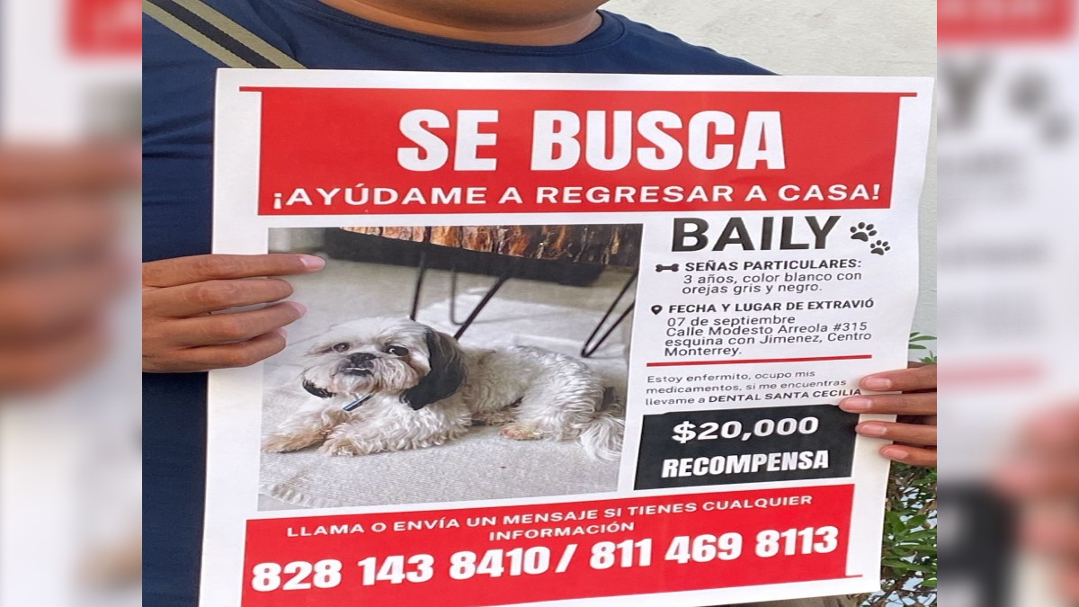 Características de Baily Características de Baily