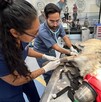 El Zoológico Guadalajara recibió el premio a “Mejor Instalación” por su hospital veterinario CIMBA, destacando la innovación y cuidado de sus especies.