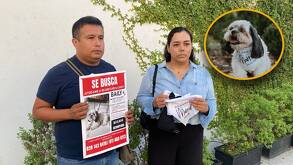 El extravío ocurrió el pasado 7 de septiembre
