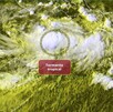 Tormenta tropical Narda