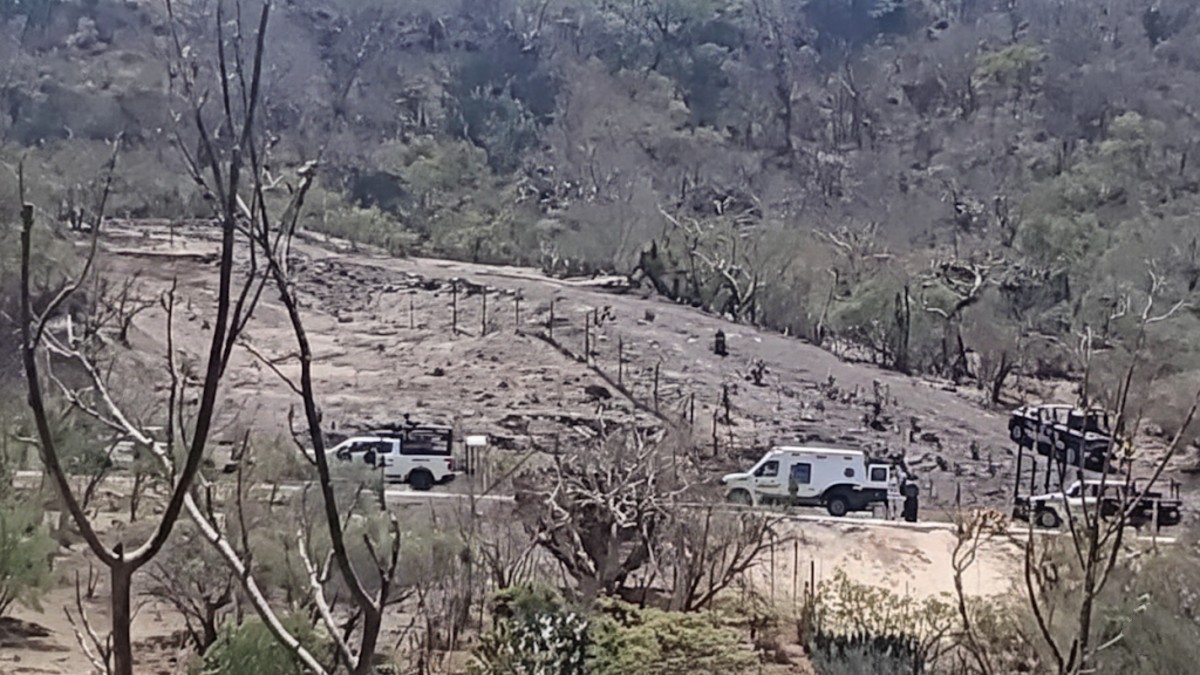 Un enfrentamiento en Teocaltiche entre civiles armados y el Ejército dejó cuatro muertos, cinco detenidos, armas aseguradas y un fuerte operativo de seguridad.