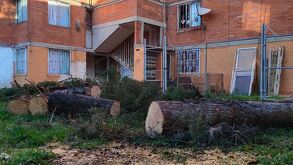 Vecinos de la Plaza E-M-10 piden la intervención del Ayuntamiento de Puebla debido que la crecida de raíces ha levantado el azulejo de las viviendas.