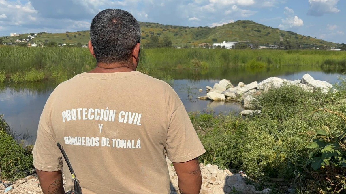 Cocodrilo sorprende a vecinos en la presa Las Rusias de Tonalá y autoridades emiten recomendaciones ante el aumento de avistamientos en Jalisco.