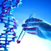 Genética, clave para entender enfermedades y prolongar la vida
