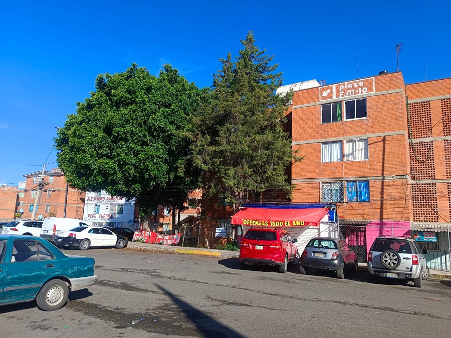 Vecinos de la Plaza E-M-10 piden la intervención del Ayuntamiento de Puebla debido que la crecida de raíces ha levantado el azulejo de las viviendas.