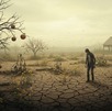 El colapso de la apicultura, una industria que contribuye con miles de millones a la economía global, afectaría negativamente a agricultores y comunidades