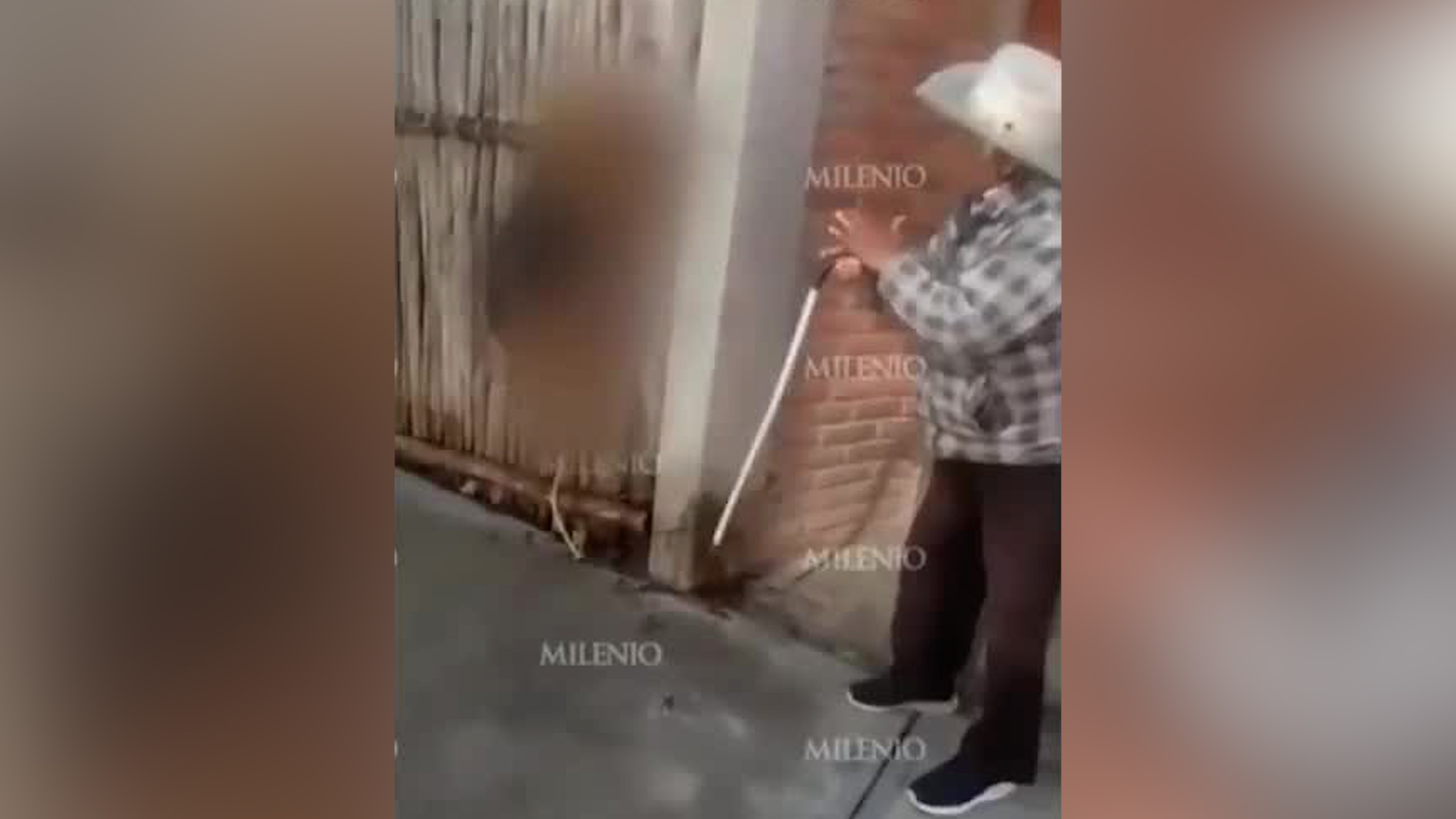 Autoridades de Toluca resguardaron a la perrita y detuvieron a adulto identificado como Tomás 'N'.