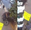 En un video que fue compartido en redes sociales se muestra como un hombre que va en bicicleta por la calle se sube a la banqueta