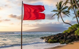 Bandera roja en Puerto Vallarta: qué siginifica
