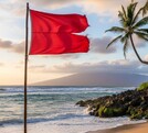 Bandera roja en Puerto Vallarta: qué siginifica