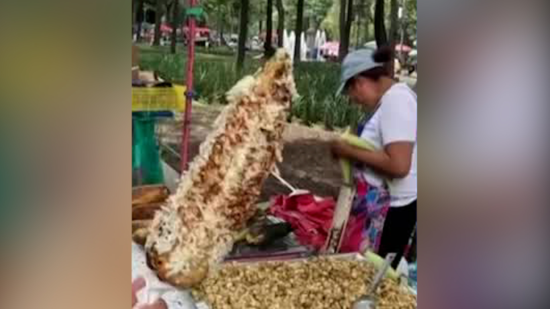 Los visitantes de la Alameda Central aseguran que los productos vendidos en puestos ambulantes superan el doble de su precio original.