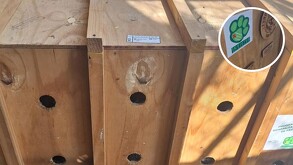 El traslado de Mina se realizó siguiendo estrictos protocolos de seguridad debido a su delicado estado de salud