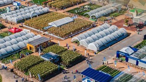 Expo AgroAlimentaria Guanajuato reafirma su carácter internacional con una nueva edición que reúne a productores y empresarios del sector agroalimentario.
