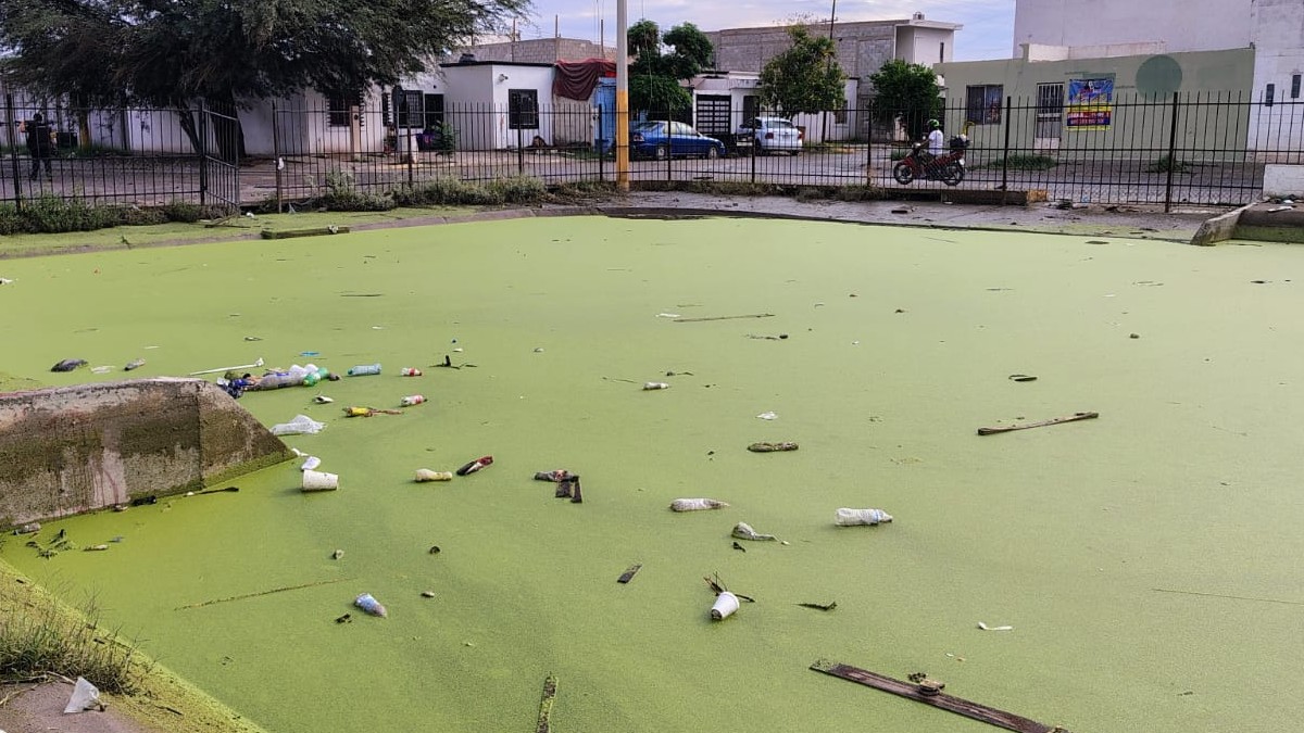 Este lamentable suceso ha puesto en el foco de la atención pública la precaria seguridad y falta de mantenimiento en la zona de Torreón.