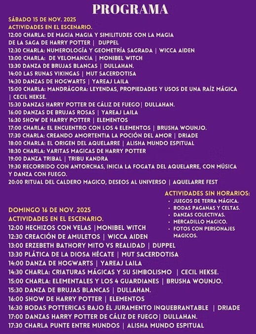 Las actividades del festival de Harry Potter tendrá danzas, conferencias, un bazar y hasta talleres.