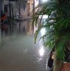 ecinos de Loma Verde exigen a autoridades de Tlaquepaque corregir la red sanitaria saturada