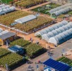 Expo AgroAlimentaria Guanajuato reafirma su carácter internacional con una nueva edición que reúne a productores y empresarios del sector agroalimentario.