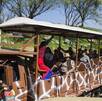 El Zoológico de Guadalajara ofrece una promoción espectacular en boletos por su aniversario número 37.