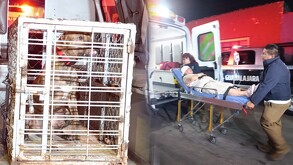 Perro ataca a mujer en Guadalajara