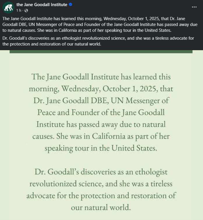 Falleció Jane Goodall a los 91 años. La pionera en el estudio de chimpancés deja un legado científico y ambiental que transformó nuestra visión del mundo.