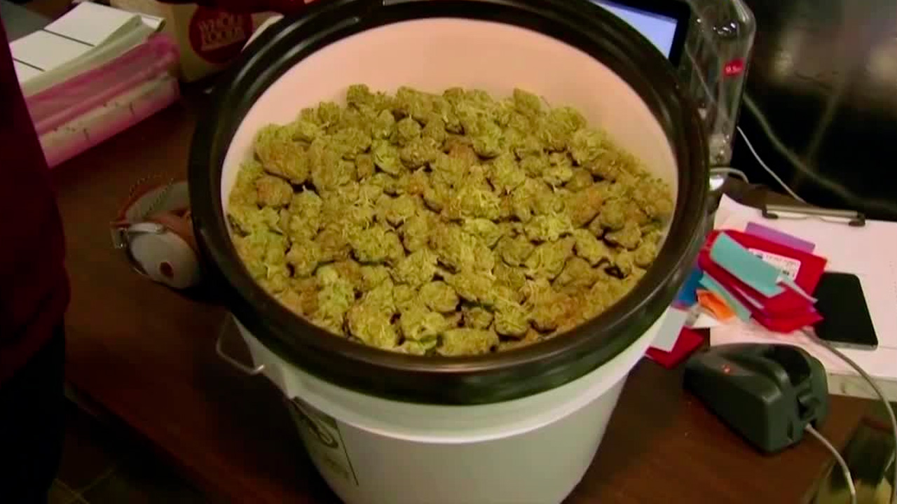 Un extracto no adictivo de cannabis, VER-01, demostró reducir el dolor lumbar crónico sin efectos graves ni dependencia.