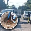 Colectivo Guerreros Buscadores localizó osamentas en Ixtlahuacán, una dentro de una casa habitada. Vecinos rentaban sin saber que vivían con un cadáver oculto.