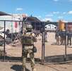 El Gabinete de Seguridad del Gobierno de México dio a conocer detenciones, cateos, y aseguramientos de armas, drogas y huachicol en diferentes estados. El Gabinete de Seguridad del Gobierno de México dio a conocer detenciones, cateos, y aseguramientos de armas, drogas y huachicol en diferentes estados.