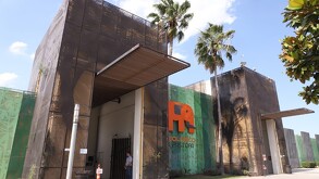El caso de la osa Mina desató críticas y exigencias ciudadanas