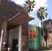 El caso de la osa Mina desató críticas y exigencias ciudadanas