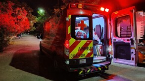Un niño de tan solo ocho años de edad resultó con una grave lesión en una pierna tras ser atacado por una perra callejera en la colonia Santa Sofía de Torreón.